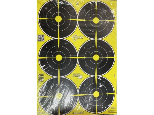 Allen  Aim Targets - 