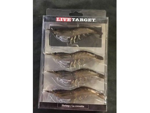 Live Target - Shrimp