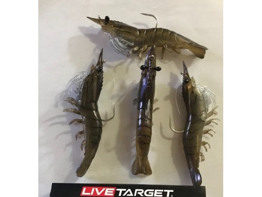 Live Target - Shrimp